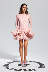 McCarthy Mesh Ruffle Mini Dress In Pink