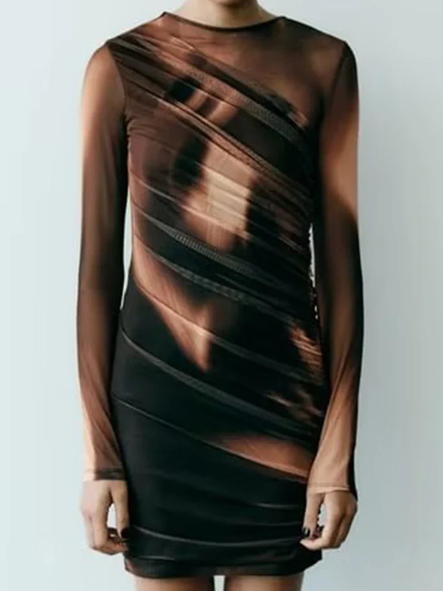 Mesh Print Sexy Mini Dress O Neck Long Sleeve Slim See Through Slim Streetwear Retro Dresses For Women Night Club Party Vestidos