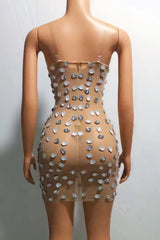 Shiny Silver Rhinestone Transparent Party Dress