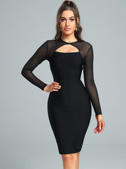 Black Long Sleeve Mini Dress