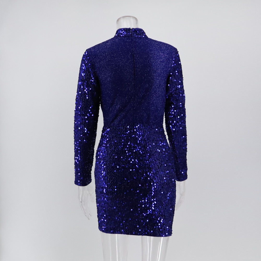 Bodycon Glitter Sequin Dresses